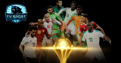 برنامج الدور ثمن النهائي من كأس إفريقيا