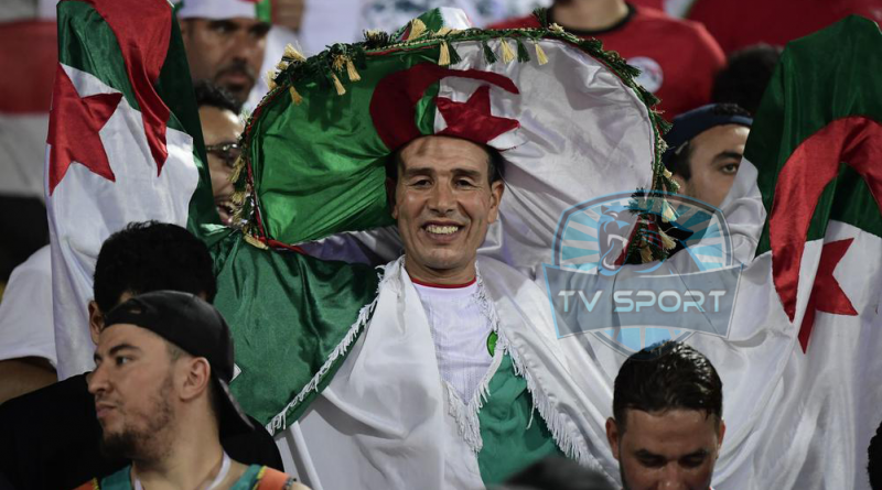 نقل المشجعين الجزائريين لمصر