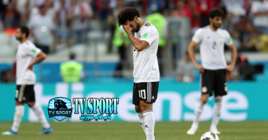 مدير منتخب مصر يكشف سبب إحباط اللاعبين!