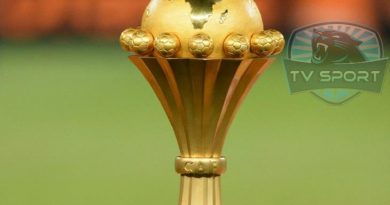 كأس إفريقيا 2021